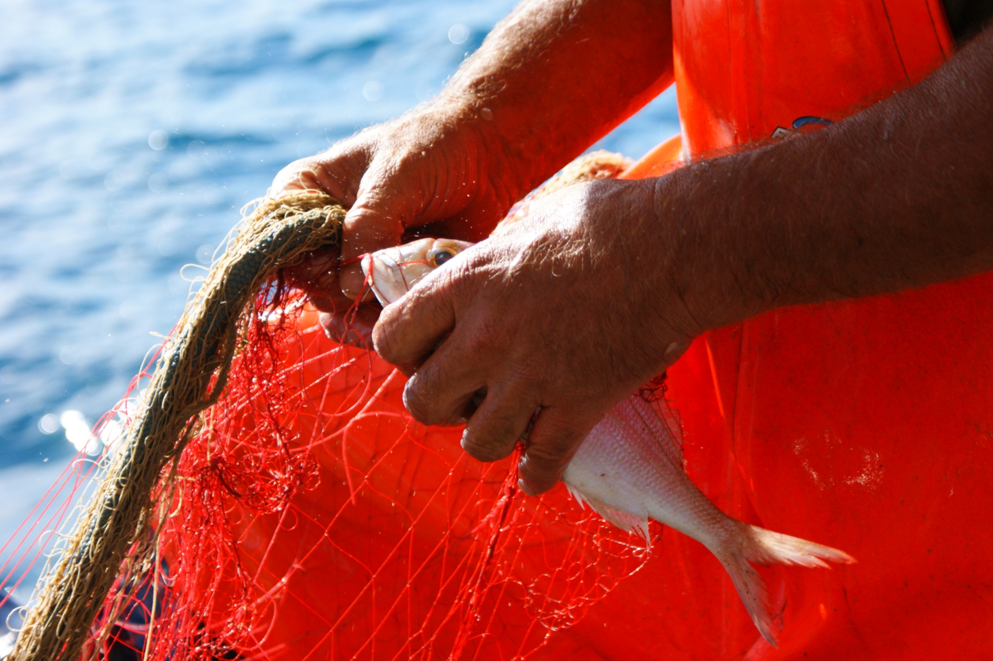 Fishing in Maremma