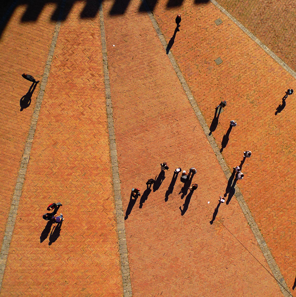 Piazza del Campo, Siena