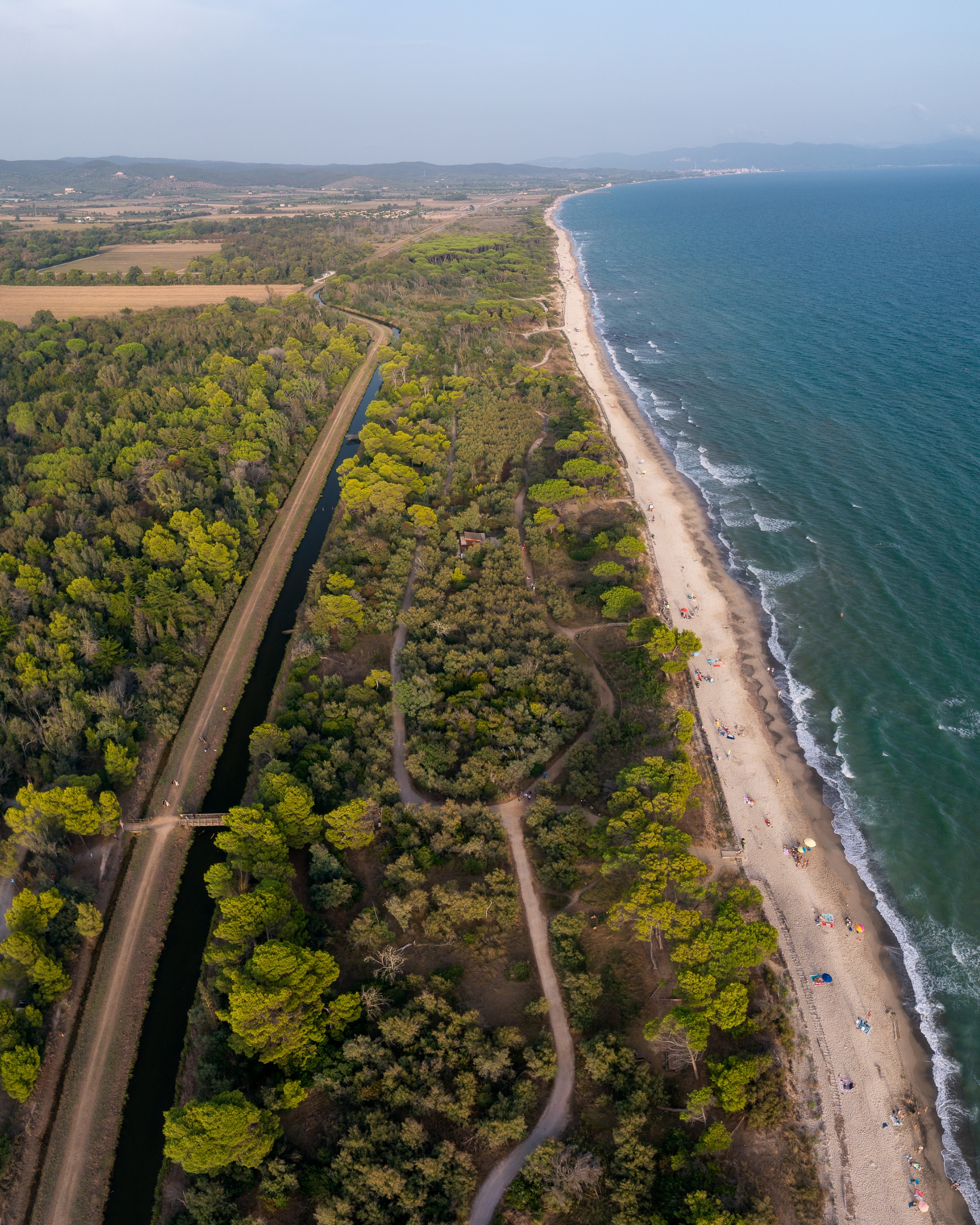 Ripresa aerea del litorale del Parco costiero della Sterpaia in Toscana, Piombino