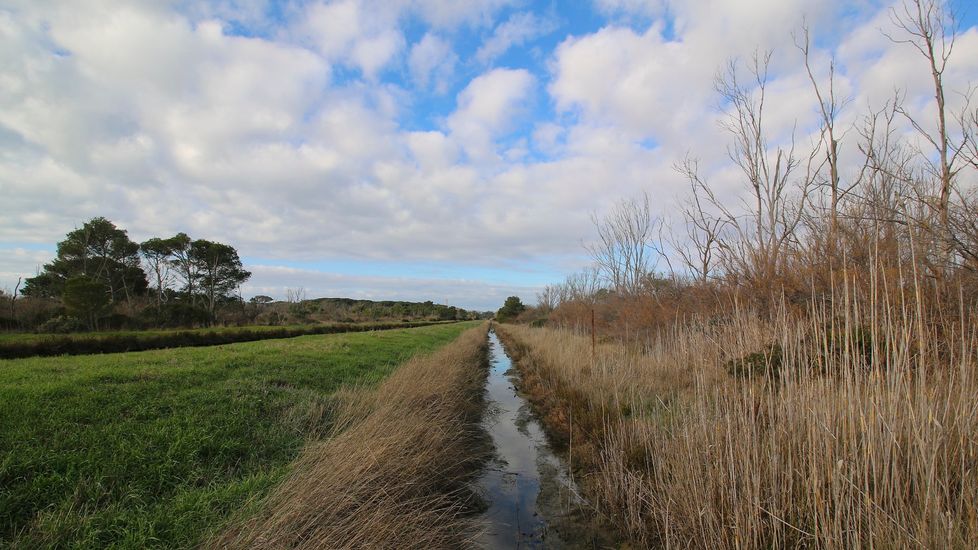 Parco della Sterpaia