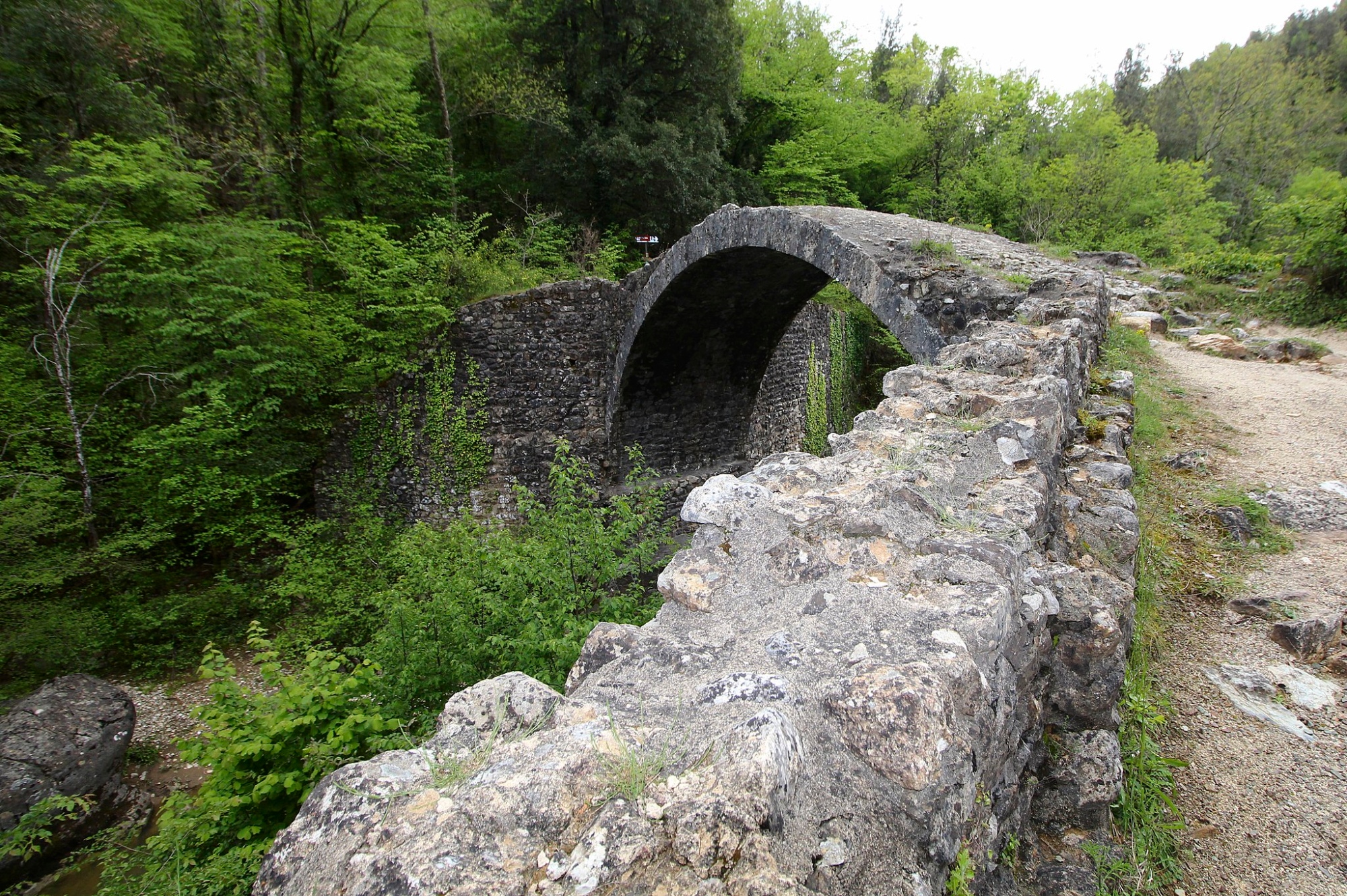 Il Ponte della Pia
