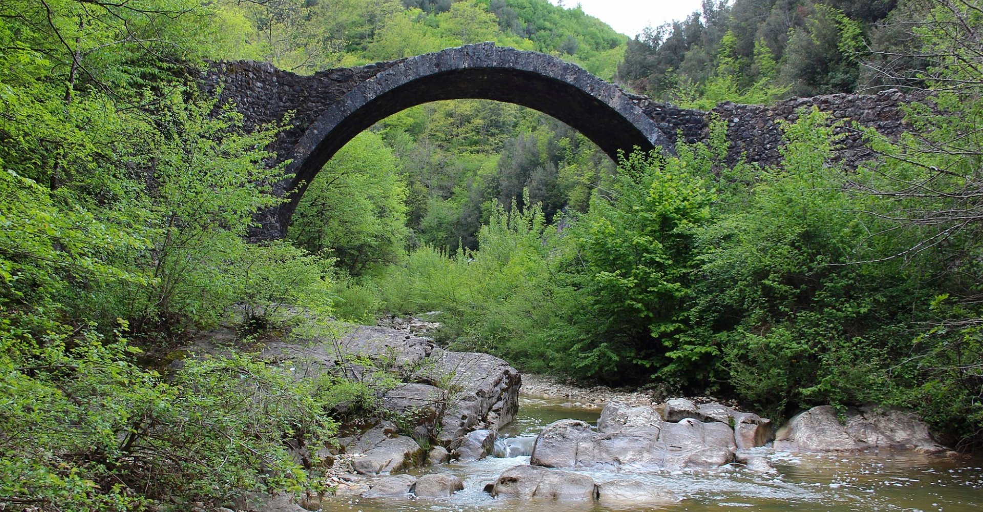 Die Brücke Ponte della Pia