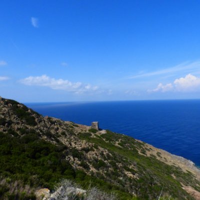 Il sentiero da Porto Vecchio alla Punta della Teglia Il sentiero da Porto Vecchio alla Punta della Teglia