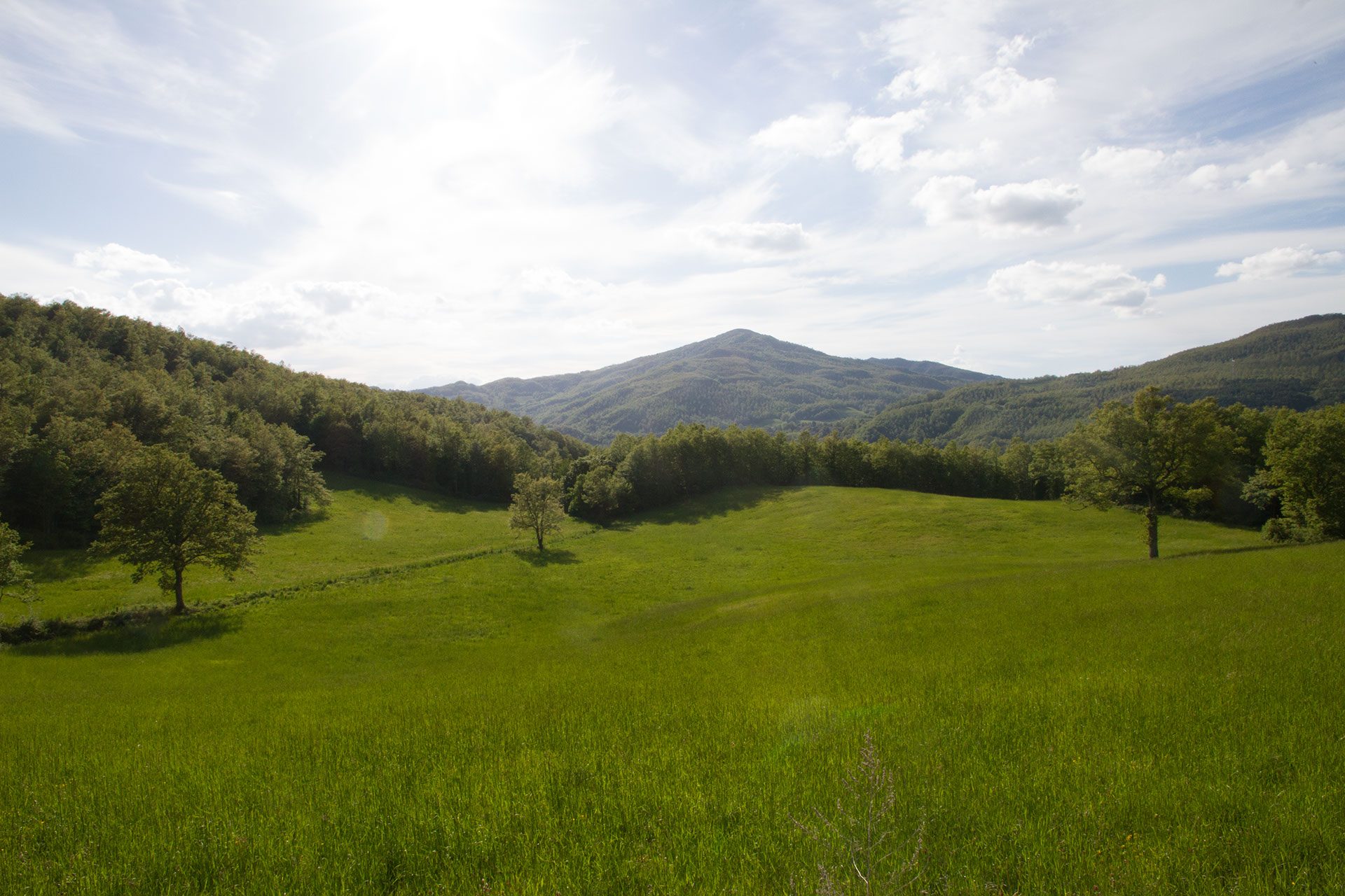 Parco Storico della Linea Gotica