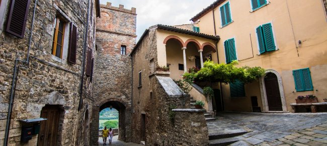 Tintori gate in Rapolano Terme