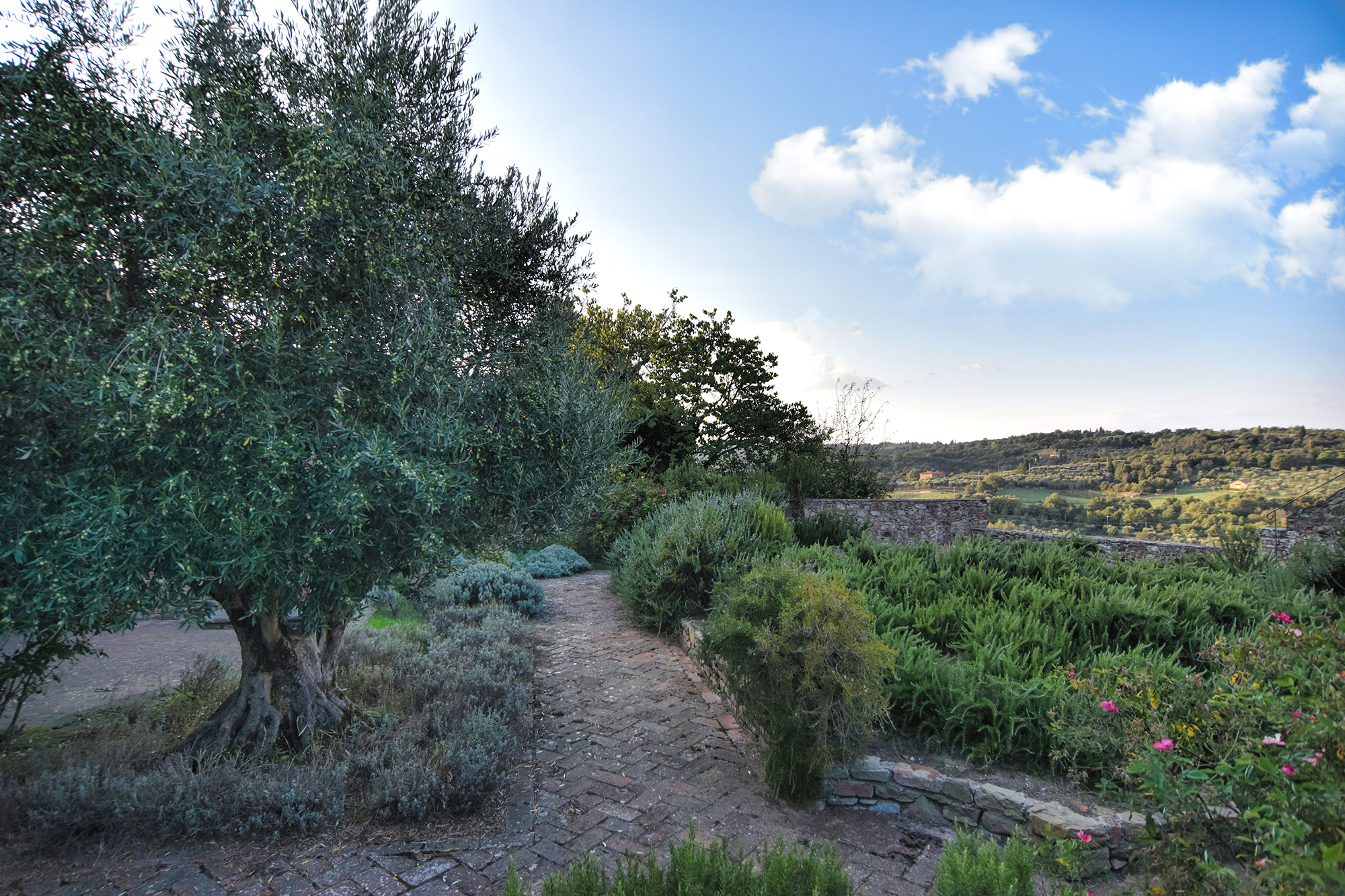 Le colline di Rigomagno