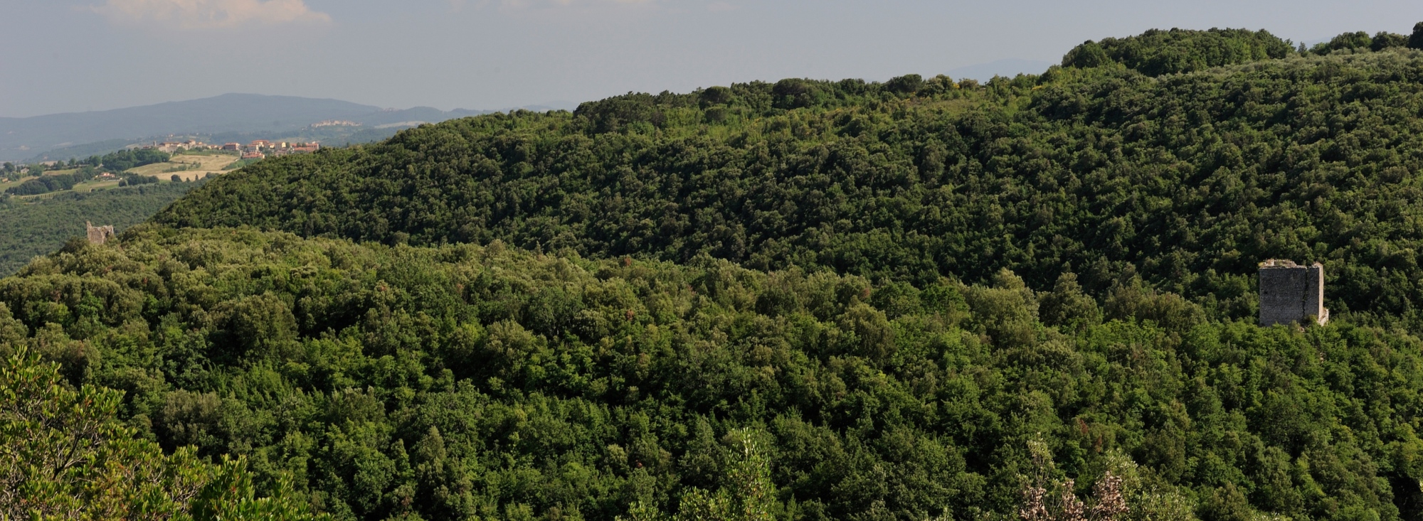 Castelvecchio's Nature Reserve in San Gimignano