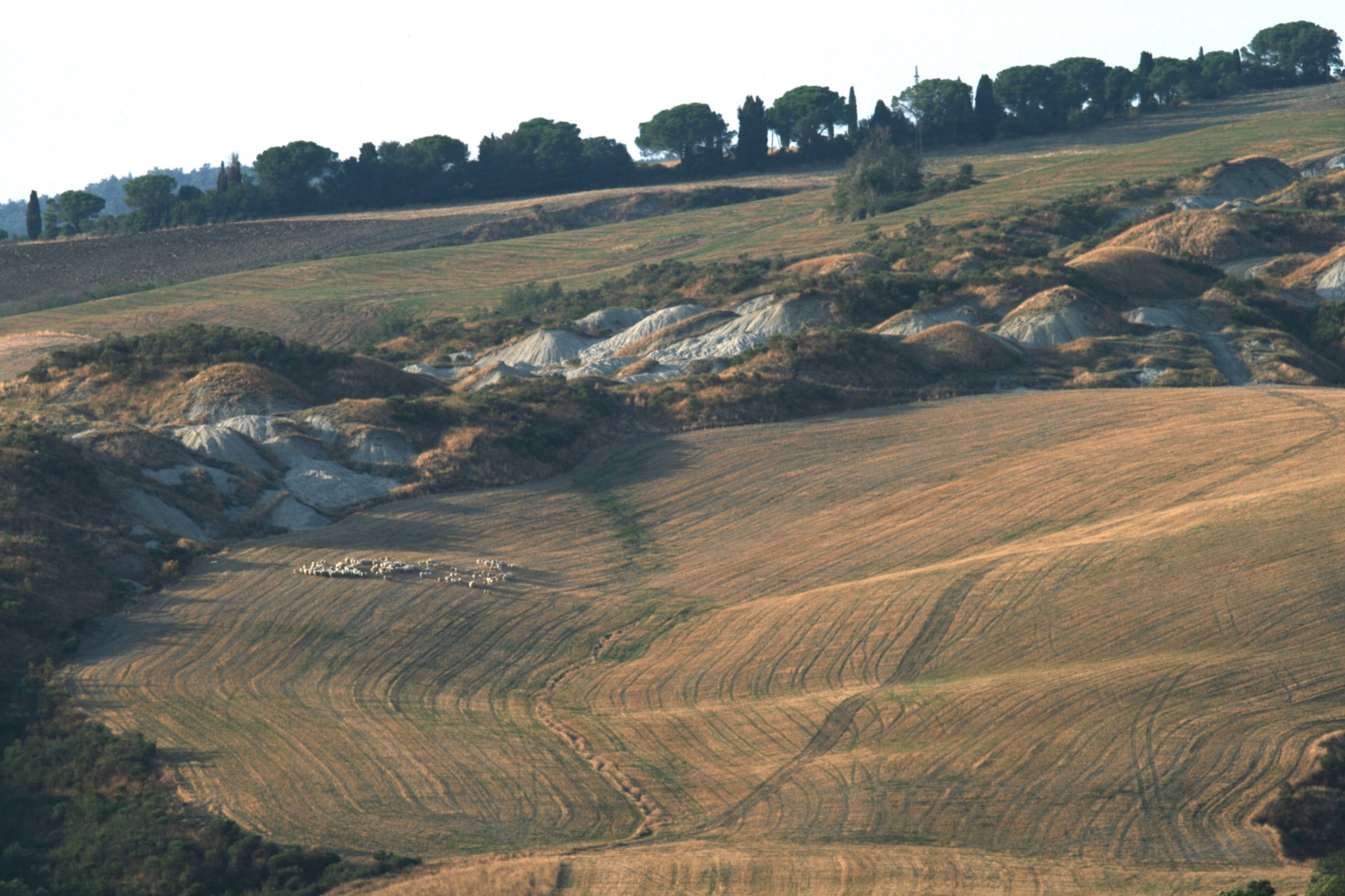 Réserve naturelle régionale de Lucciolabella