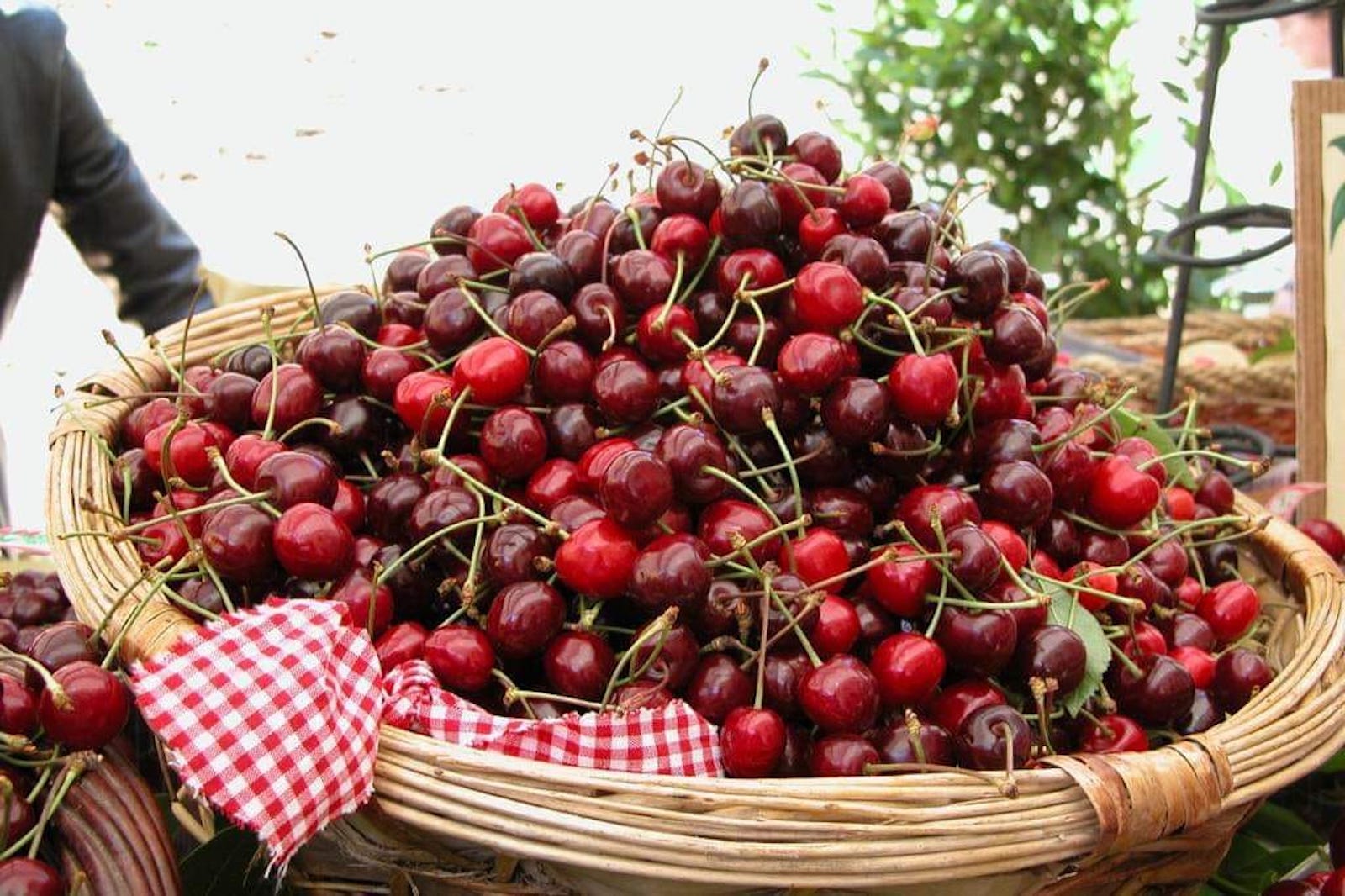 Feria de las Cerezas de Lari