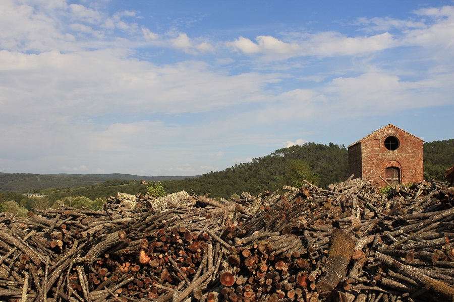 San Galgano surroundings