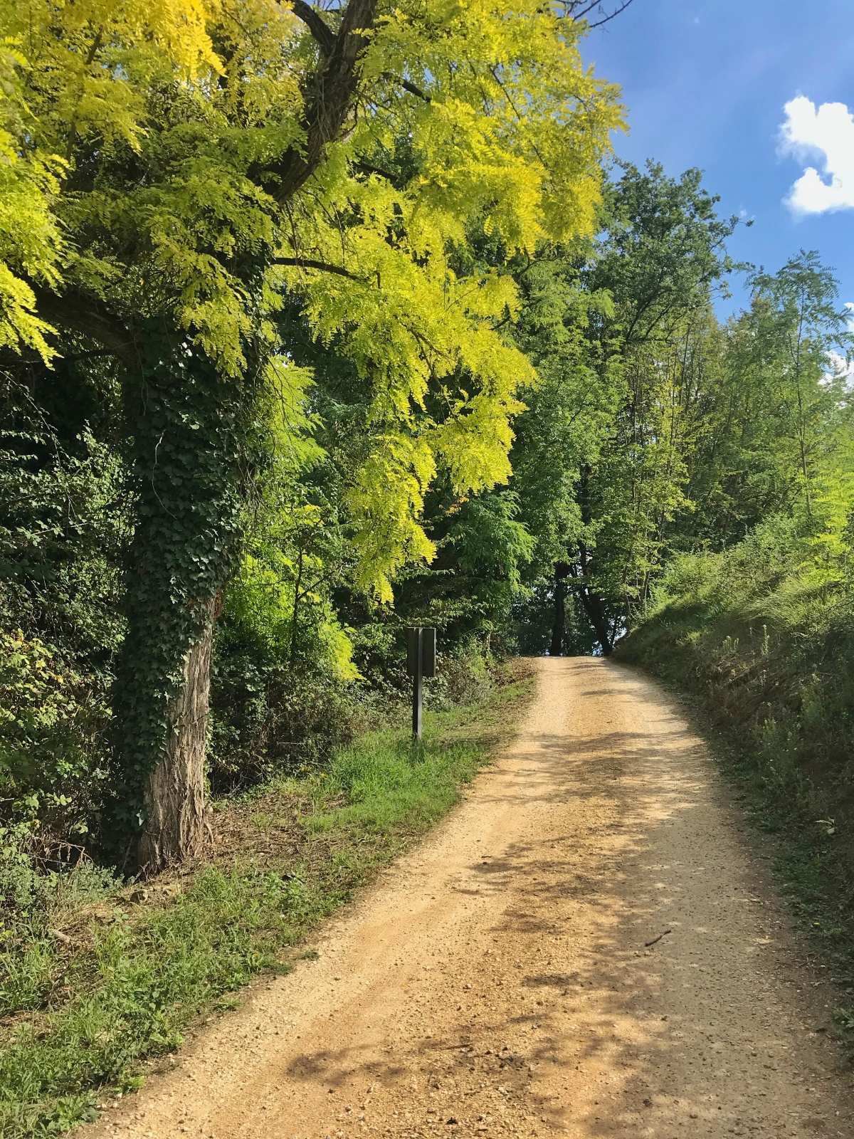Desde San Miniato hasta Siena en bicicleta Desde San Miniato hasta Siena en bicicleta