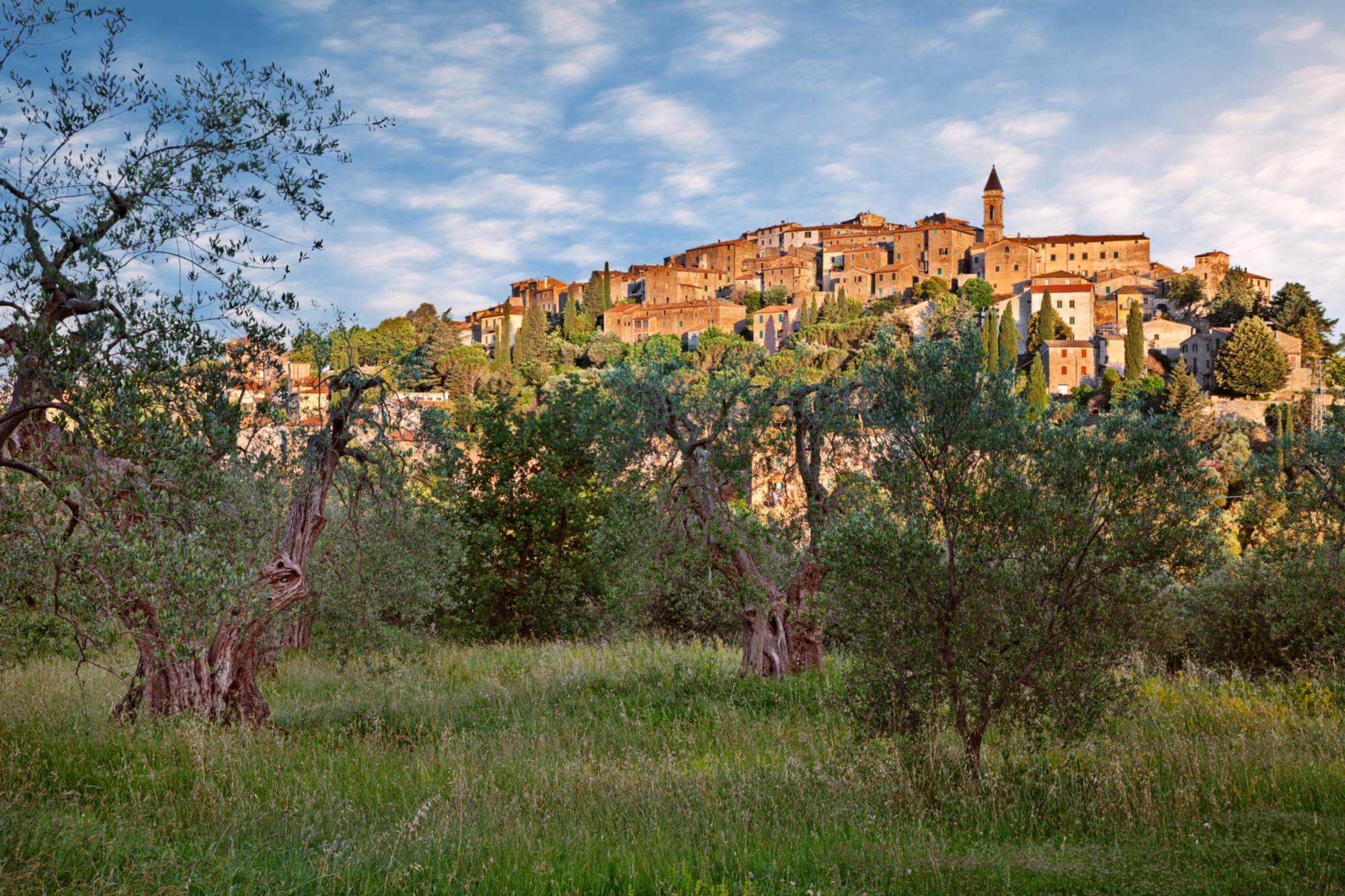 Seggiano