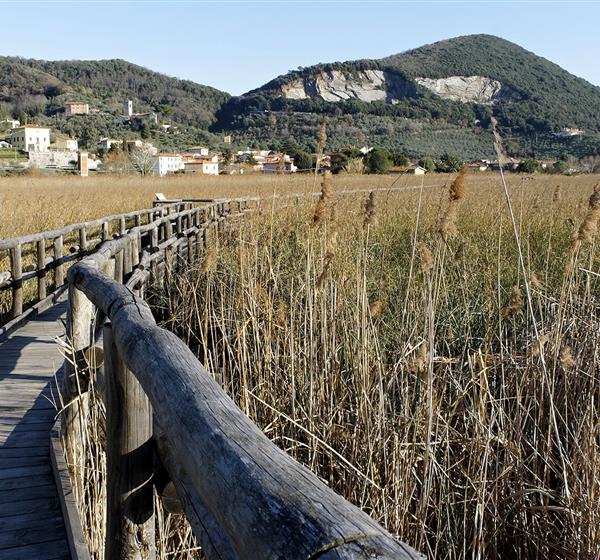 Reserva de la Biosfera del Bosque Costero de Toscana