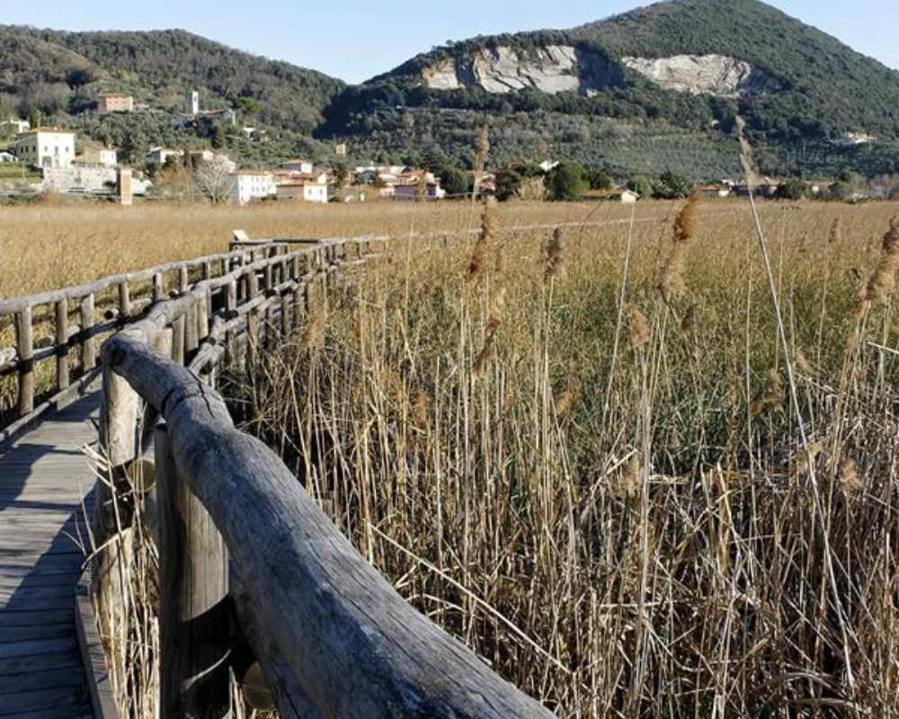 Riserva della Biosfera Selve Costiere della Toscana