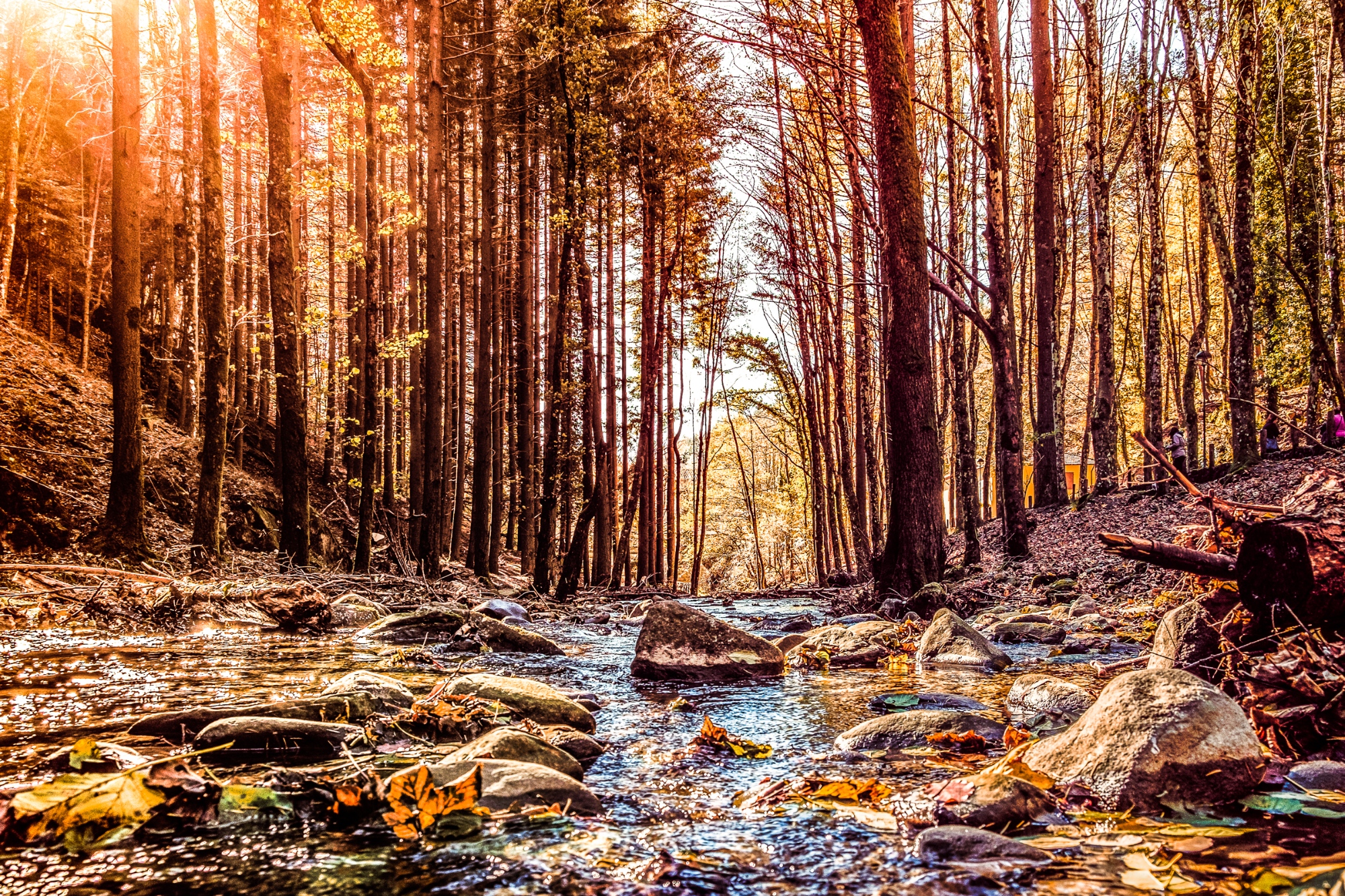 Sentieri tra le Foreste Casentinesi, Badia Prataglia