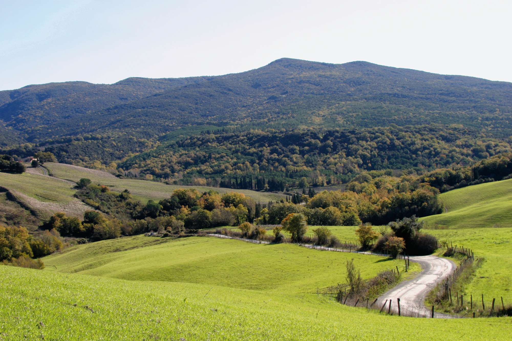 Riserva di Berignone