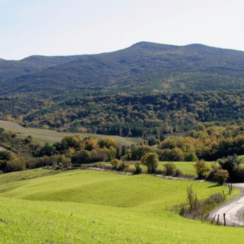 Das Naturschutzgebiet Berignone