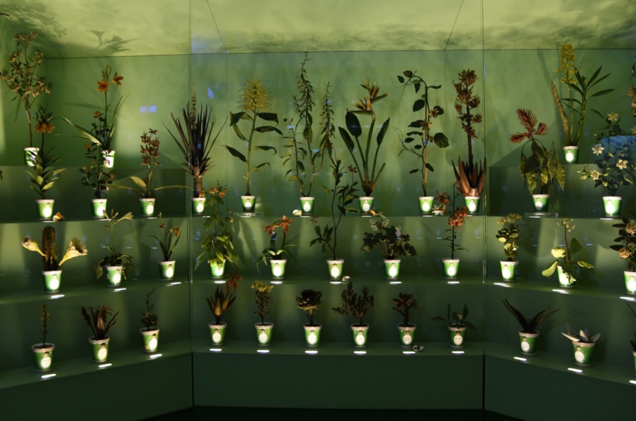 Musée de la Specola, art et science, cires botaniques
