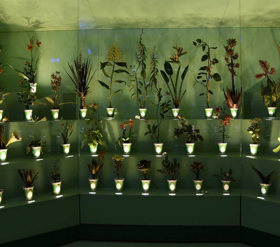 Museo della Specola, Kunst und Wissenschaft, botanische Wachsmodelle