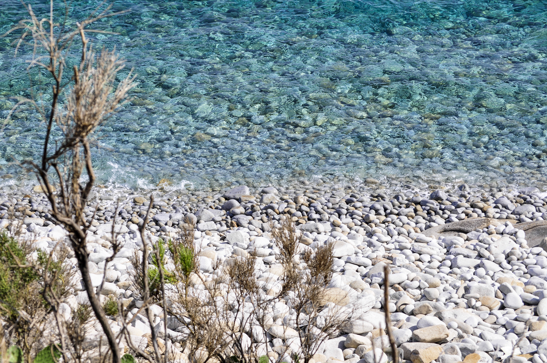 Beach at Elba Island