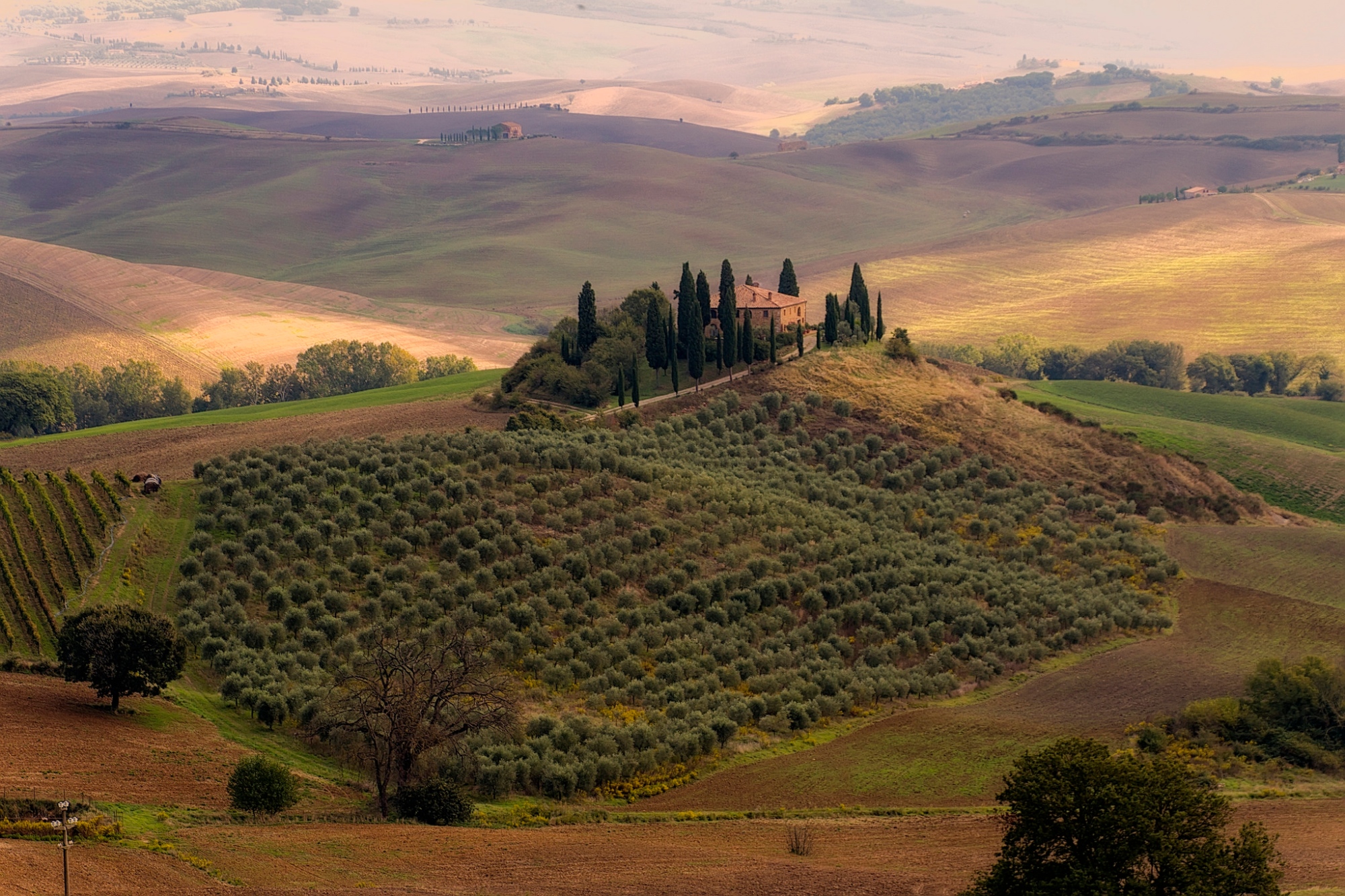 San Quirico D'Orcia view