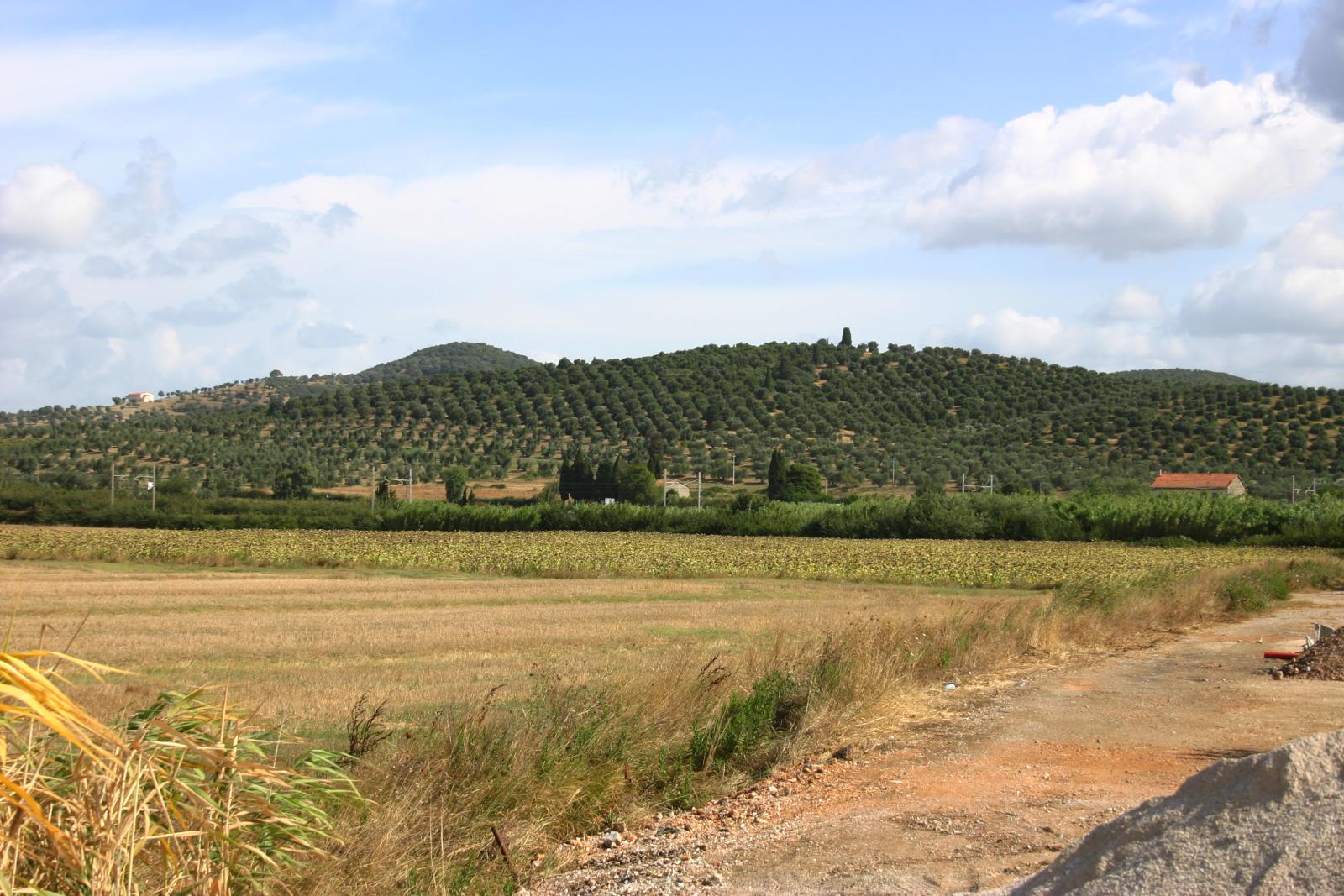 Parco della Sterpaia