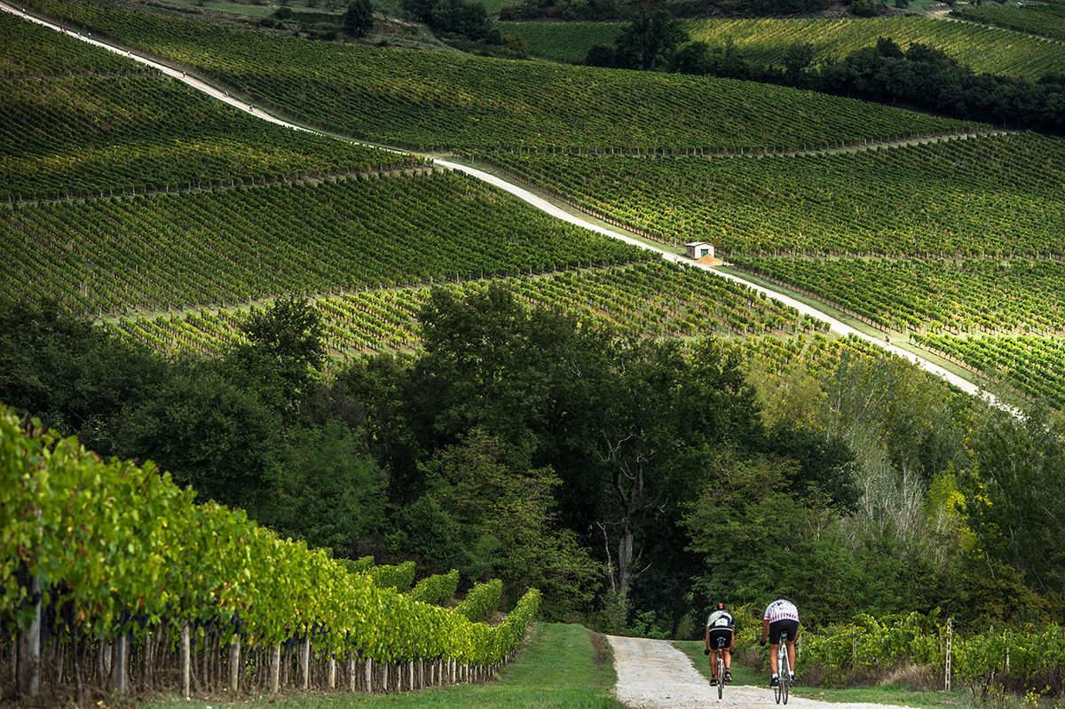 Feldwegen von Chianti