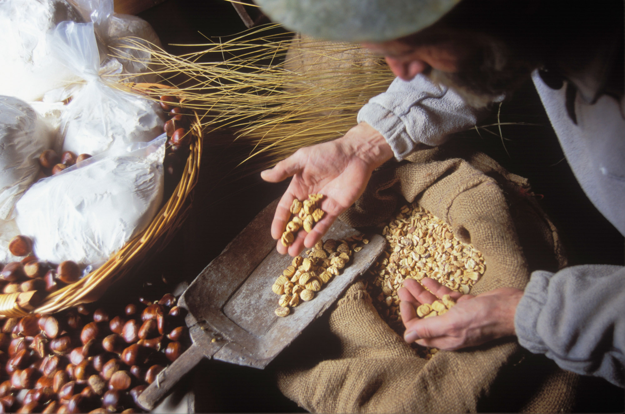 Enogastronomia in Toscana - top