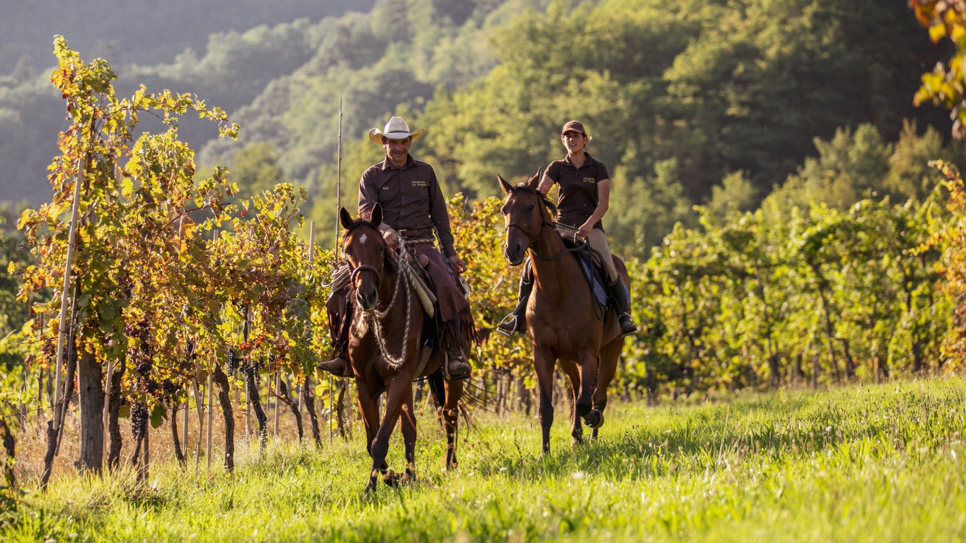 Horse riding in Tuscany