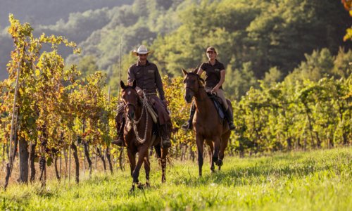 Horse riding in Tuscany