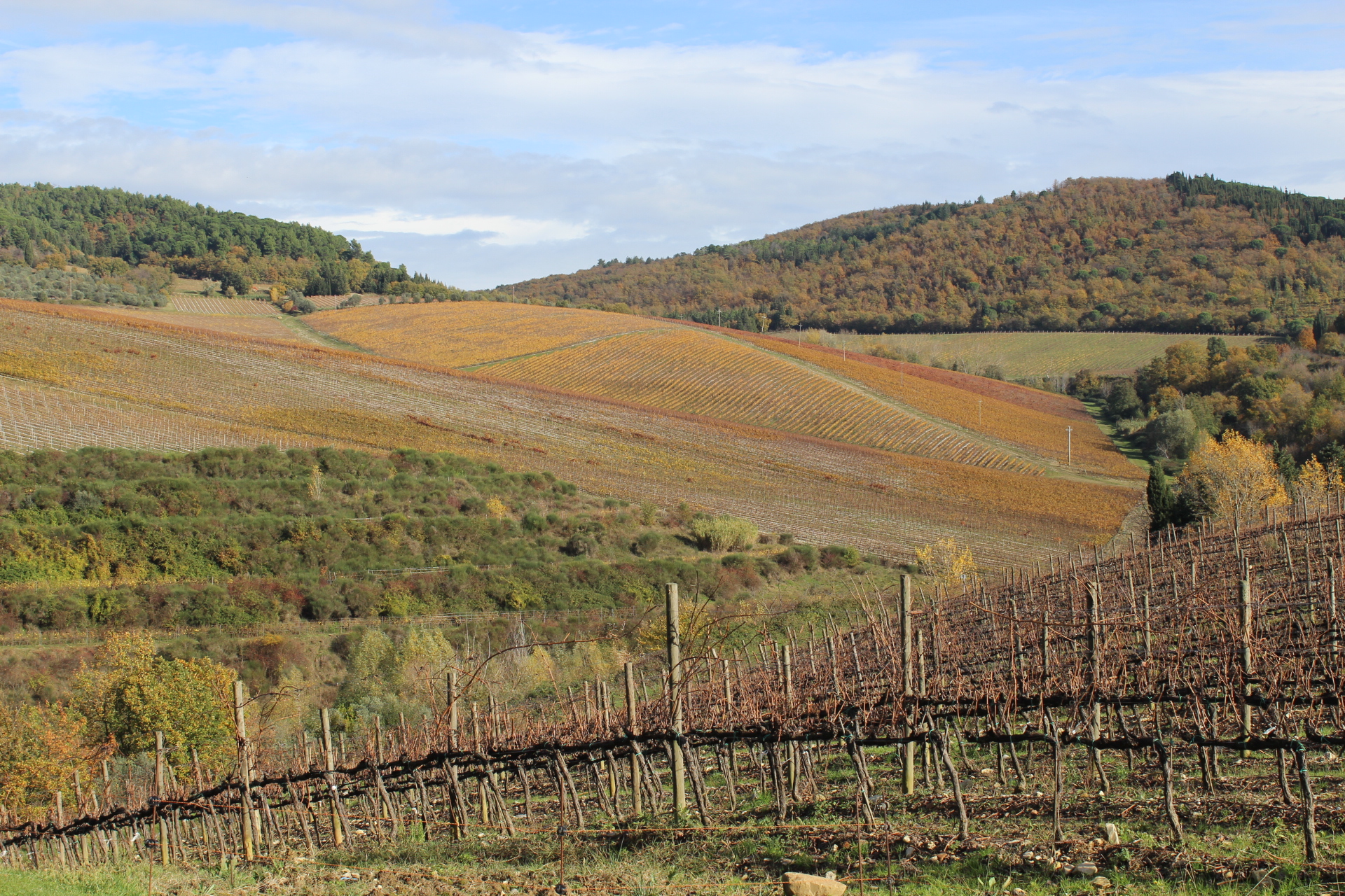 Tenuta Tignanello