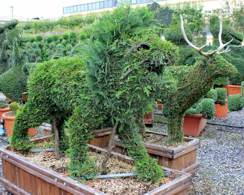 Topiary animals in Pistoia