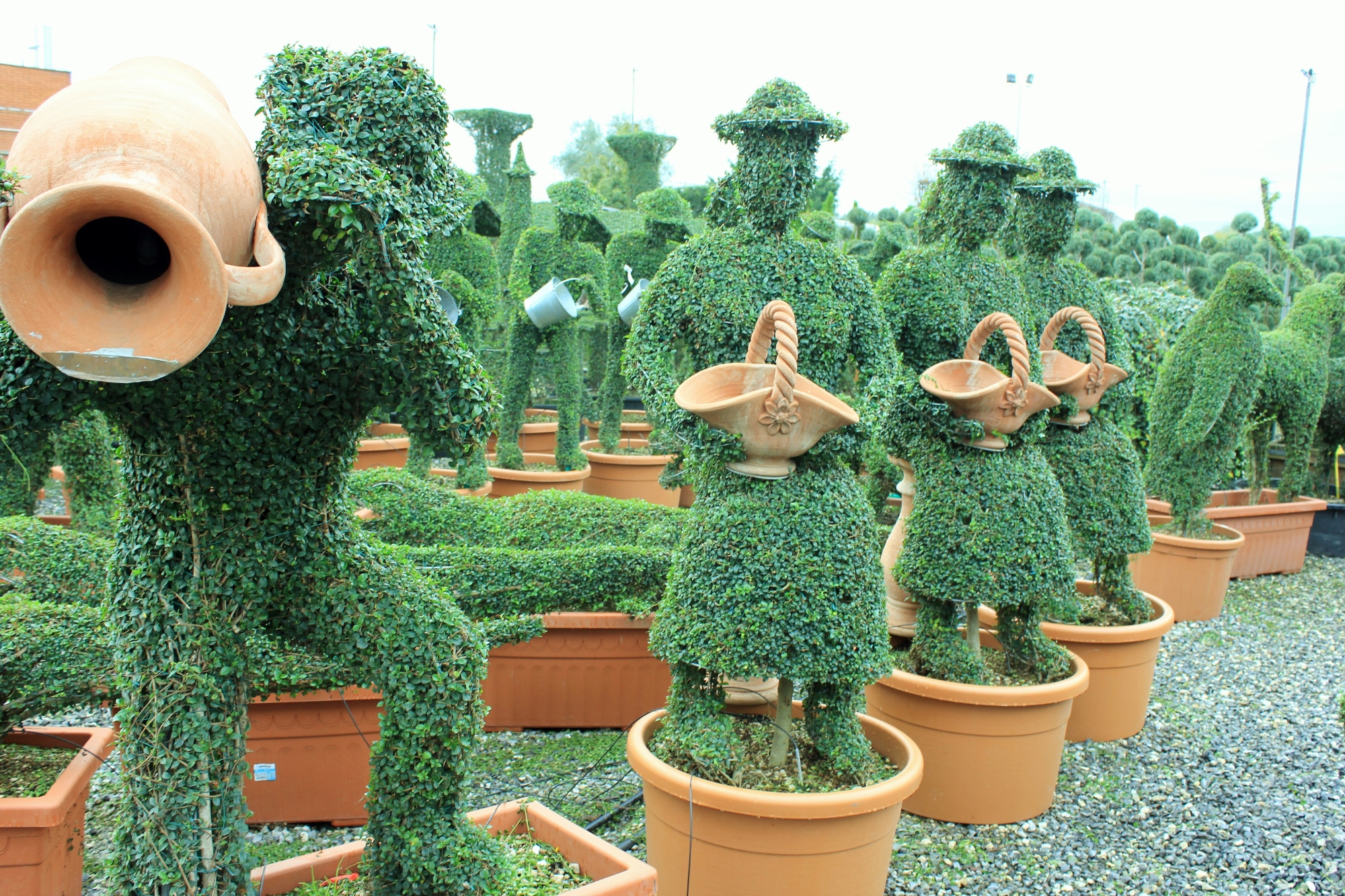 Topiary Crafts in Pistoia