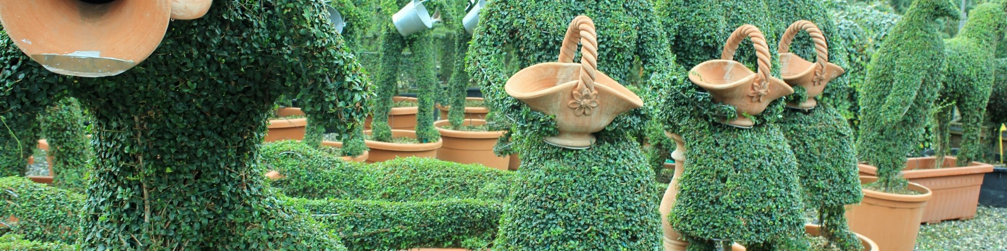 Topiary Crafts in Pistoia