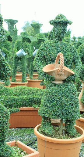 Topiary Crafts in Pistoia
