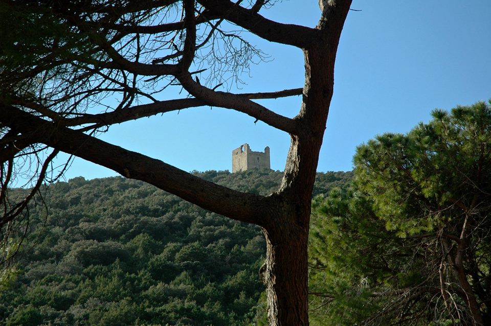 Torre di Cala di Forno