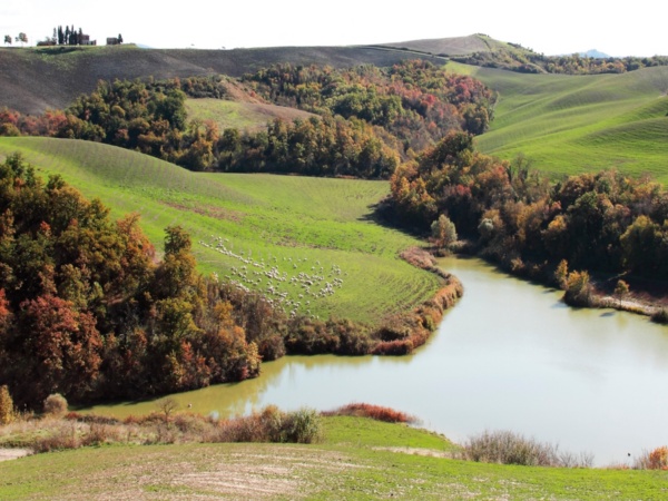 Monteroni d'Arbia Monteroni d'Arbia