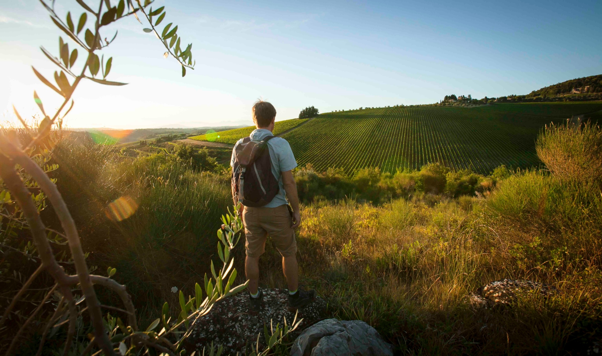 Le paysage du Chianti. Promenade le long de la Via Romea Sanese