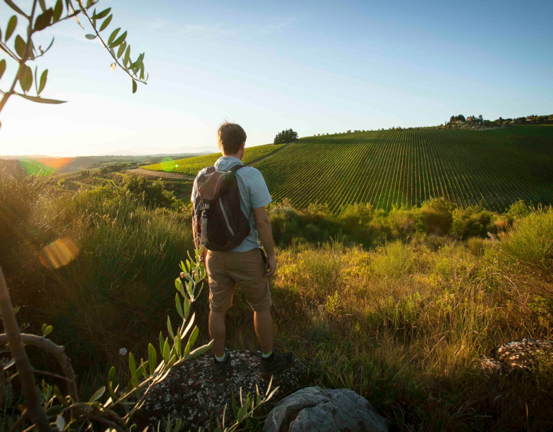 Le paysage du Chianti. Promenade le long de la Via Romea Sanese Le paysage du Chianti. Promenade le long de la Via Romea Sanese