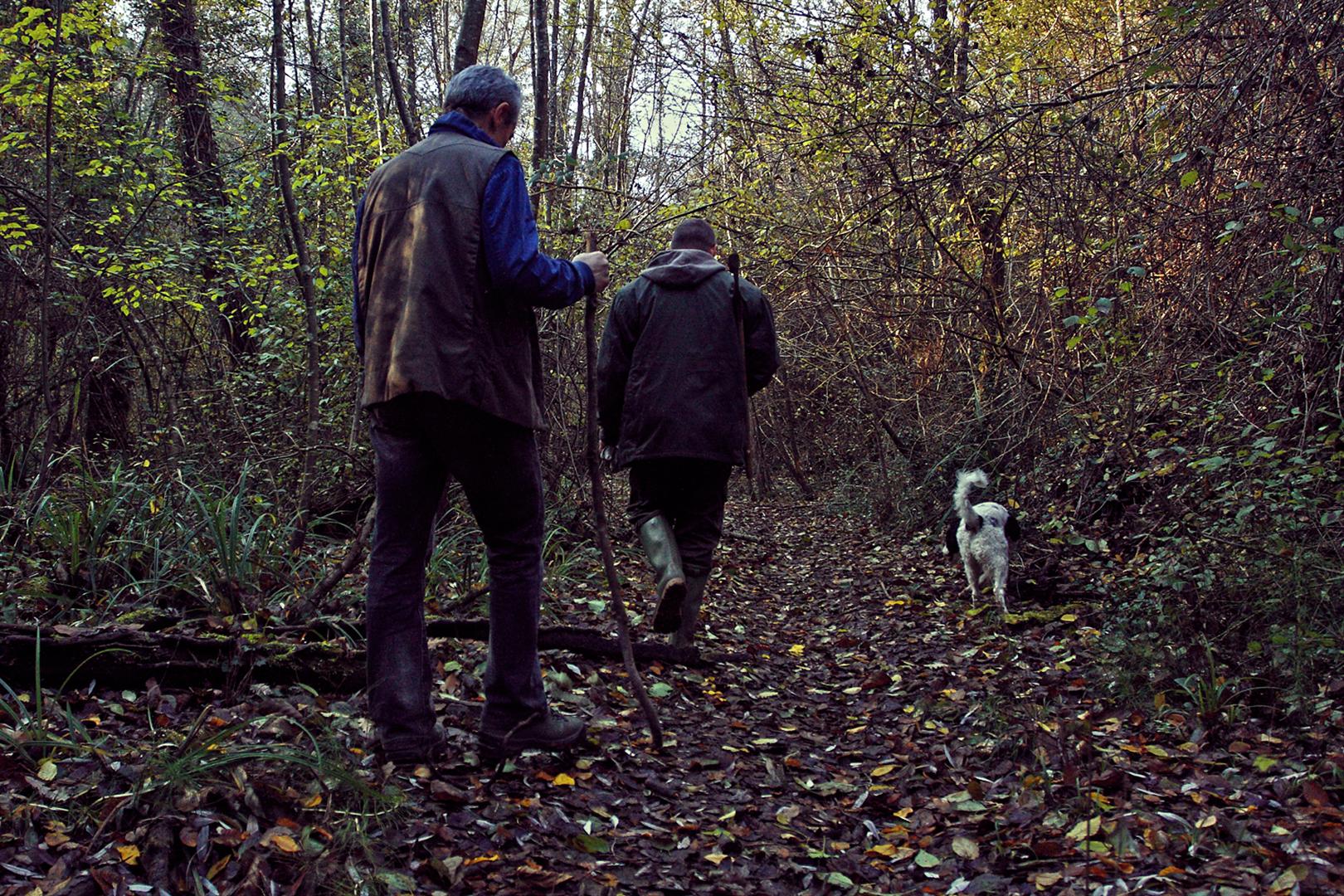 Truffle hunting in San Miniato