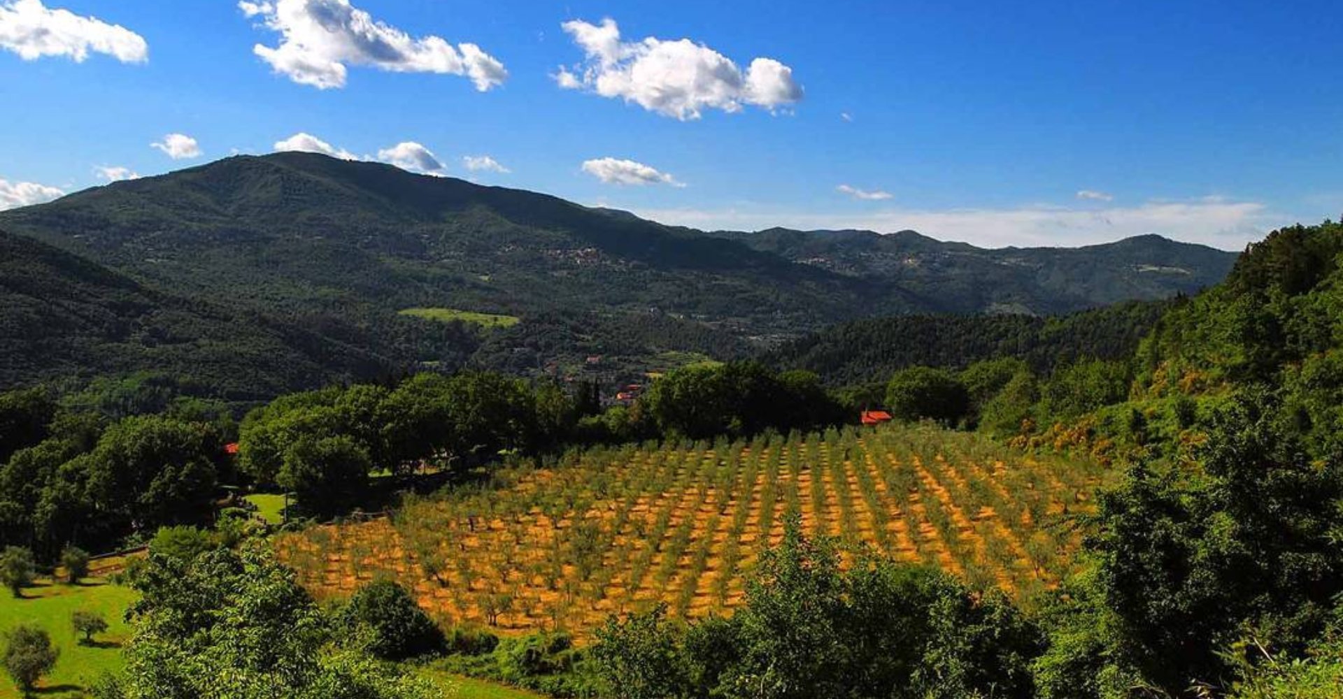 Vista de Vaiano