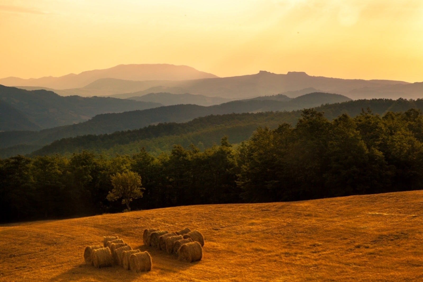 Paesaggio da Badia Tedalda