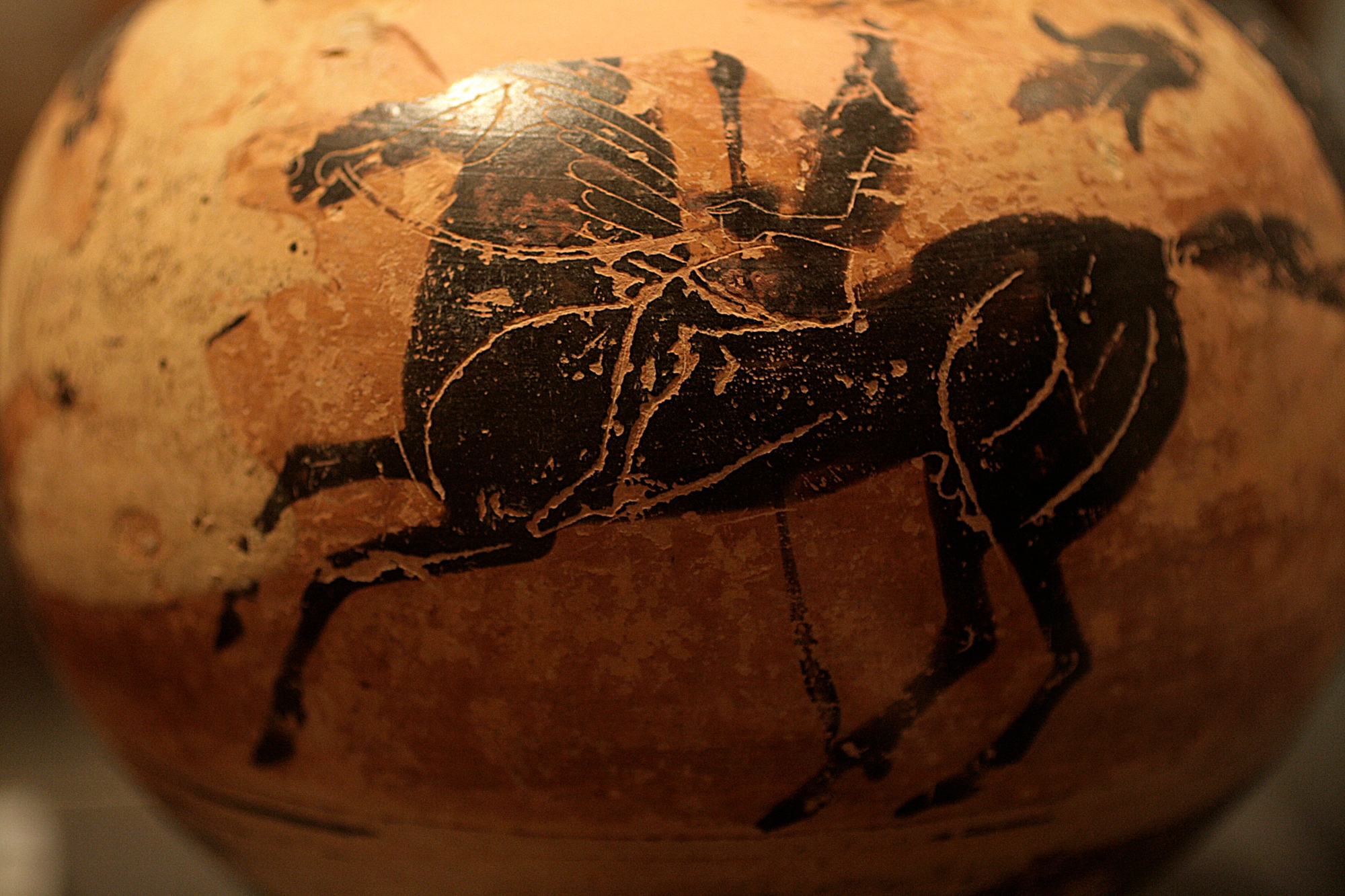 Findings at the National Archaeological Museum in Chiusi