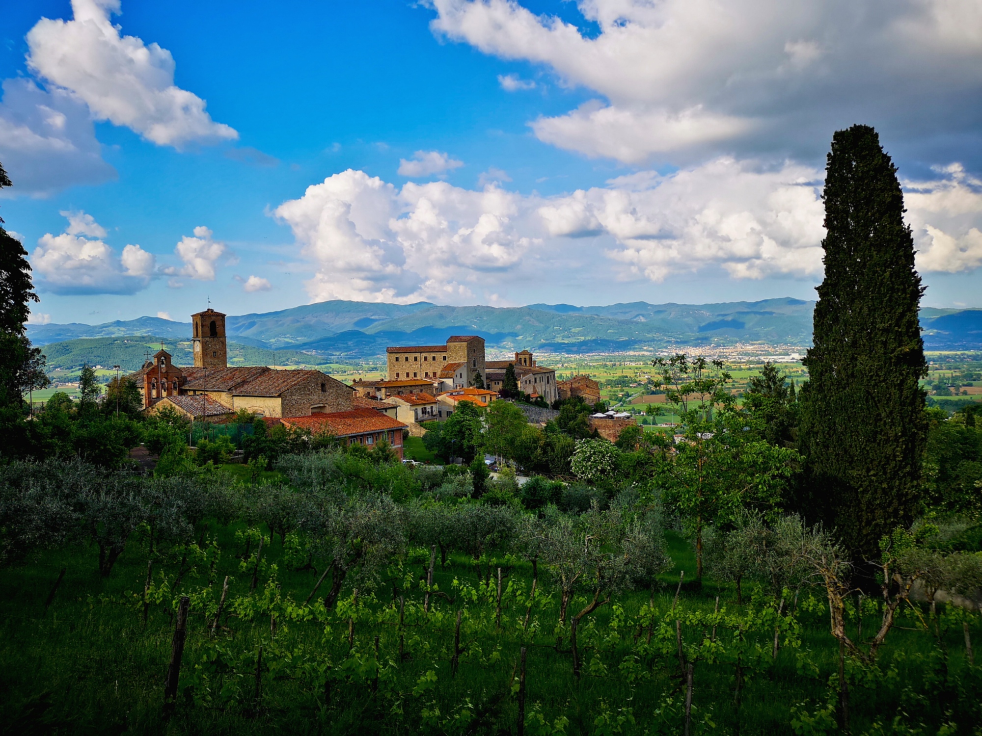 Veduta Anghiari