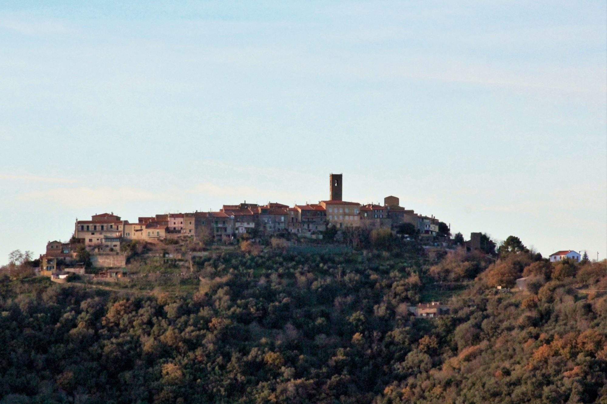 Vetulonia, landscape