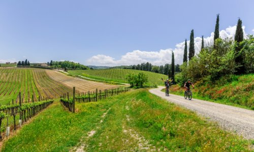 Mit dem Fahrrad in der Toskana