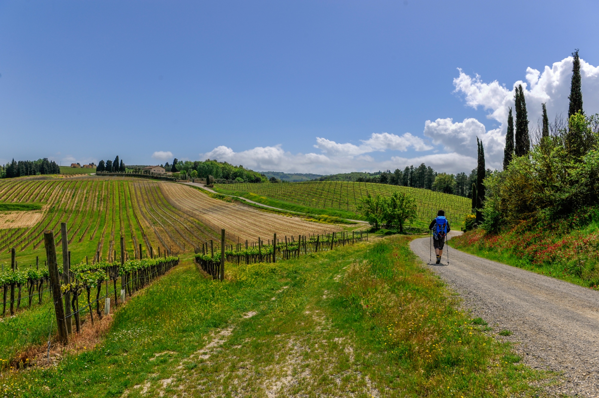 Marcher le long de la voie Francigène en Toscane