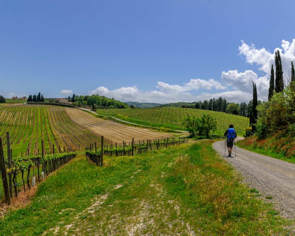 Caminando a lo largo de la Vía Francígena en Toscana