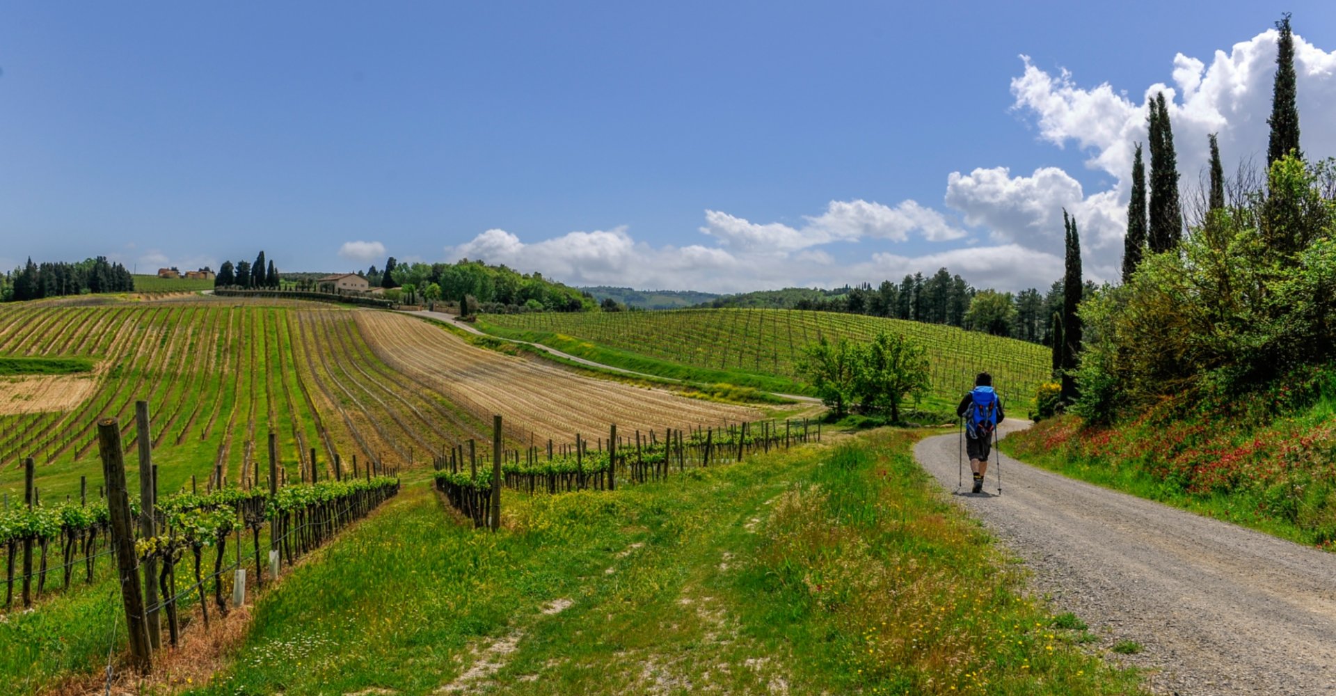 Walking along the Via Francigena in Tuscany