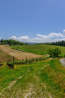 Walking along the Francigena in Tuscany